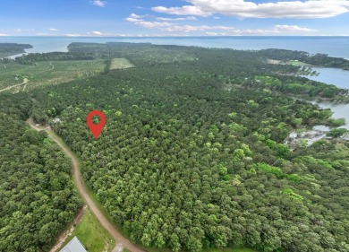 Lake Acreage For Sale in Broaddus, Texas