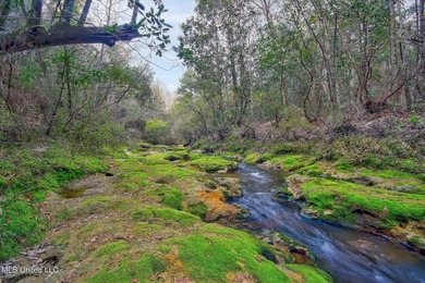 (private lake, pond, creek) Acreage For Sale in Kiln Mississippi