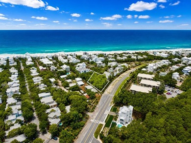 Presenting a .36 acre parcel in the gated community of Heritage - photo 2