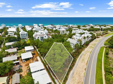 Presenting a .36 acre parcel in the gated community of Heritage - photo 3