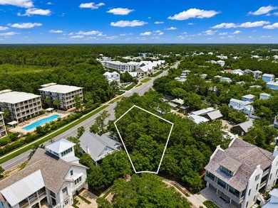 Presenting a .36 acre parcel in the gated community of Heritage - photo 6
