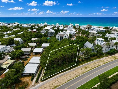Presenting a .36 acre parcel in the gated community of Heritage - photo 9