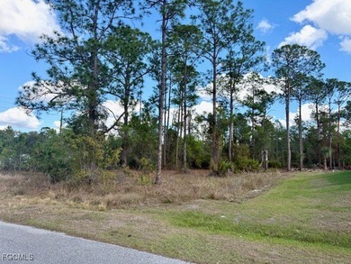 Lehigh Acres Area Lot For Sale in Lehigh Acres Florida