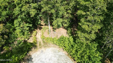 Lake Acreage For Sale in Cedar Grove, Tennessee