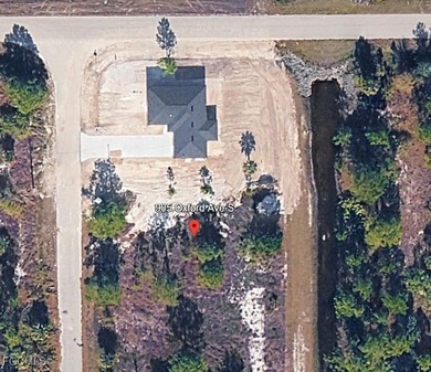 Lehigh Acres Area Lot Sale Pending in Lehigh Acres Florida