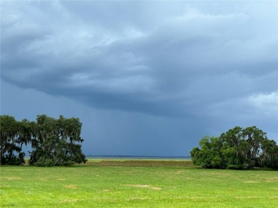 Quite Possibly the BEST LAKEFRONT LOT available in Osceola - photo 12