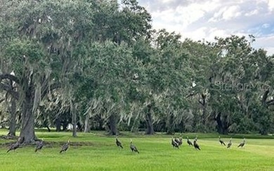 Quite Possibly the BEST LAKEFRONT LOT available in Osceola - photo 13