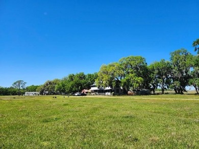 Quite Possibly the BEST LAKEFRONT LOT available in Osceola - photo 20