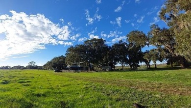 Quite Possibly the BEST LAKEFRONT LOT available in Osceola - photo 21