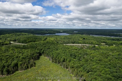 If I were building another home, it would be on a lot like this! - photo 2