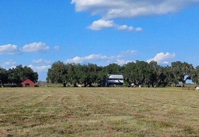 Quite Possibly the BEST LAKEFRONT LOT available in Osceola - photo 24