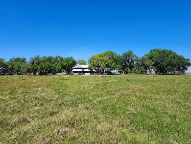 Quite Possibly the BEST LAKEFRONT LOT available in Osceola - photo 25