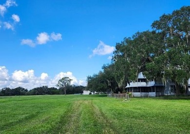 Quite Possibly the BEST LAKEFRONT LOT available in Osceola - photo 26