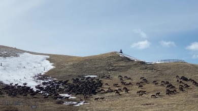 (private lake, pond, creek) Home For Sale in Livingston Montana