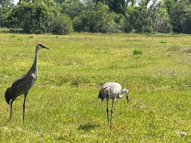 Quite Possibly the BEST LAKEFRONT LOT available in Osceola - photo 36