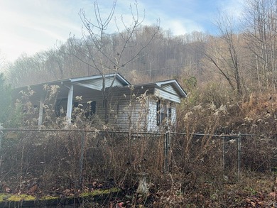 Looking for a fixer-upper? 2003 Jacks Creek Rd is being offered - photo 2