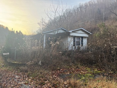 Looking for a fixer-upper? 2003 Jacks Creek Rd is being offered - photo 3
