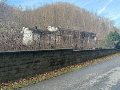 Looking for a fixer-upper? 2003 Jacks Creek Rd is being offered - photo 4