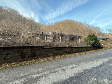Looking for a fixer-upper? 2003 Jacks Creek Rd is being offered - photo 5