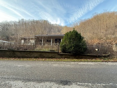 Looking for a fixer-upper? 2003 Jacks Creek Rd is being offered - photo 6