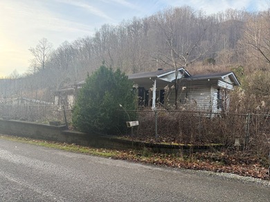 Looking for a fixer-upper? 2003 Jacks Creek Rd is being offered - photo 7