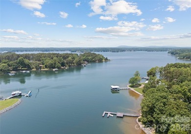 Rare opportunity to own a Simonini-built contemporary waterfront - photo 48
