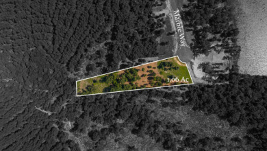 Looking for the perfect spot to build your East Texas retreat? - photo 5