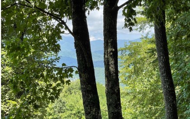 HIGH WOODED LOT WITH EXPANSIVE YEAR-ROUND VIEWS OF LAKE CHATUGE - Lake Lot For Sale in Hayesville, North Carolina