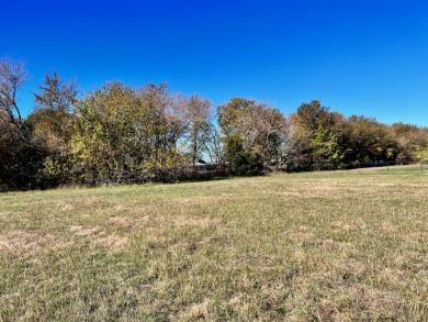 Off Water Lot with Boat Slip in The Shores Marina! - Lake Lot For Sale in Corsicana, Texas