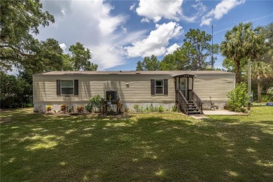 Lake Home For Sale in Ocklawaha, Florida