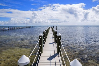 Discover a rare opportunity to own an exceptional oceanfront - photo 11