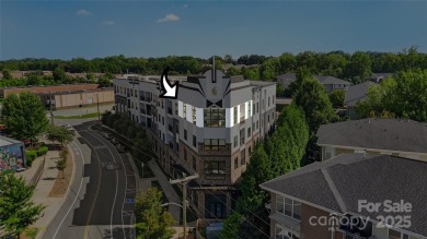 Step into the ultimate NoDa penthouse-where skyline views and