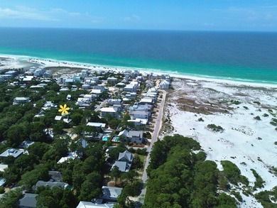 The Heart of Historic Grayton Beach Step back into a simpler - photo 4