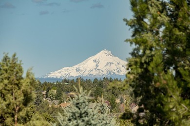 Impeccably maintained single-level home in Eagle Crest Resort - photo 29