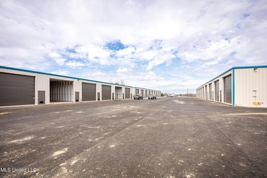 Here is your chance to OWN not Rent 1000sq ft of storage for you - photo 45