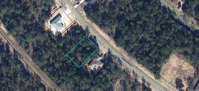 Blue Homestead Lake  Lot For Sale in Chipley Florida