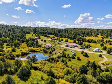 (private lake, pond, creek) Home For Sale in Llano New Mexico