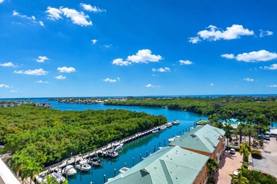 Amazing ocean and intracoastal views from this SE corner 3 - photo 16