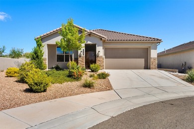 Discover luxury and comfort in this stunning single-story Hakes