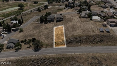Elizabeth Lake Lot For Sale in Lake Elizabeth California