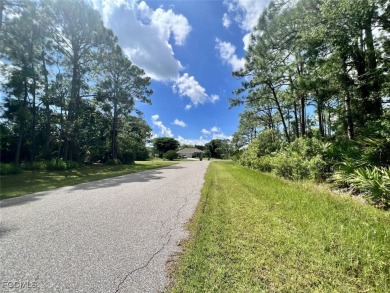 COASTAL LIVING Great investment opportunity! Land for sale - photo 2