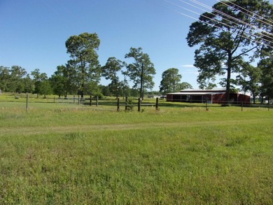 Beautiful, cleared flat property w/approx. 19.5 acres (of which - photo 2