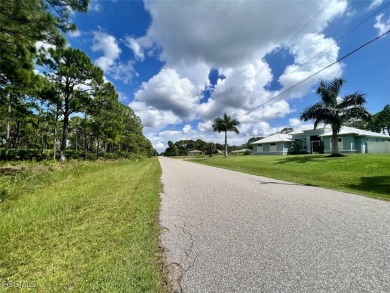 COASTAL LIVING Great investment opportunity! Land for sale - photo 3
