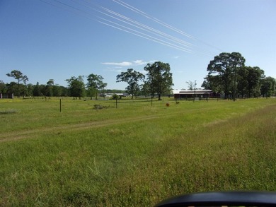 Beautiful, cleared flat property w/approx. 19.5 acres (of which - photo 4
