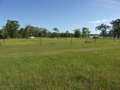 Beautiful, cleared flat property w/approx. 19.5 acres (of which - photo 5