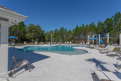 Beautiful 4-bedroom home in sought-after Carriage Gate - photo 50