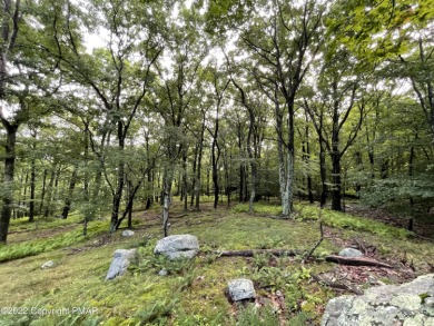 Lake Lot For Sale in Canadensis, Pennsylvania