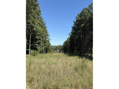 (private lake, pond, creek) Lot For Sale in Jasper Tennessee