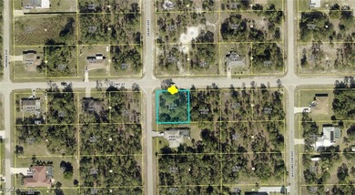 Lehigh Acres Area Lot For Sale in Lehigh Acres Florida