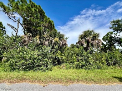 Port Charlotte Waterway Area Lot For Sale in Port Charlotte Florida